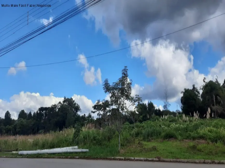 Terreno / Lote à venda, 12438m2 em Nova Petropolis - RS - imagem 9 Foto 9 de Terreno / Lote à venda, 12438m2 em Nova Petropolis - RS