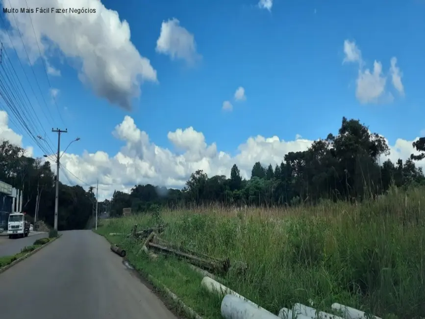 Foto 2 de Terreno / Lote à venda, 12438m2 em Nova Petropolis - RS