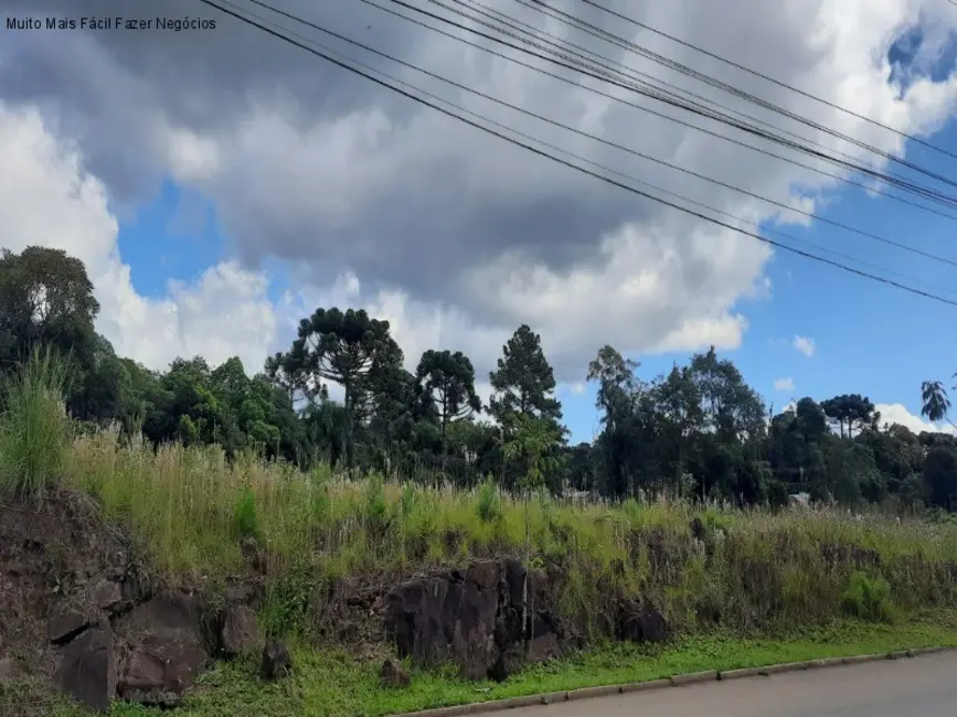 Terreno / Lote à venda, 12438m2 em Nova Petropolis - RS - imagem 7 Foto 7 de Terreno / Lote à venda, 12438m2 em Nova Petropolis - RS