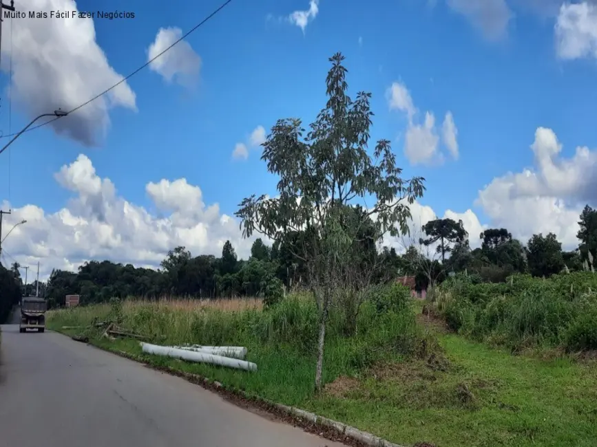 Terreno / Lote à venda, 12438m2 em Nova Petropolis - RS - imagem 3 Foto 3 de Terreno / Lote à venda, 12438m2 em Nova Petropolis - RS