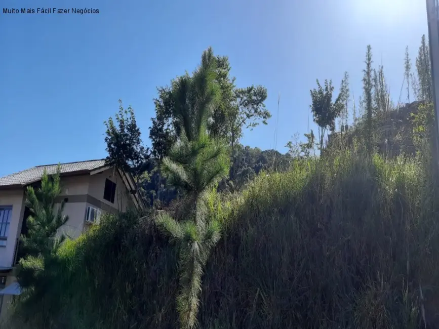 Foto 2 de Terreno / Lote à venda, 416m2 em Nova Petropolis - RS