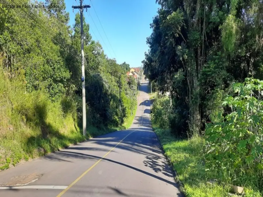 Terreno / Lote à venda, 720m2 em Nova Petropolis - RS - imagem 1 Foto 1 de Terreno / Lote à venda, 720m2 em Nova Petropolis - RS