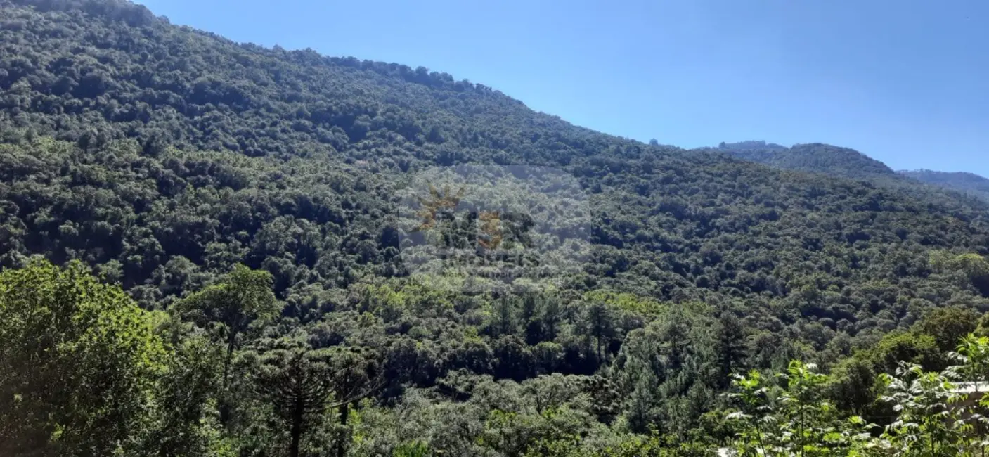 Sítio / Rancho com 2 quartos à venda, 110m2 em Nova Petropolis - RS - imagem 7 Foto 7 de Sítio / Rancho com 2 quartos à venda, 110m2 em Nova Petropolis - RS