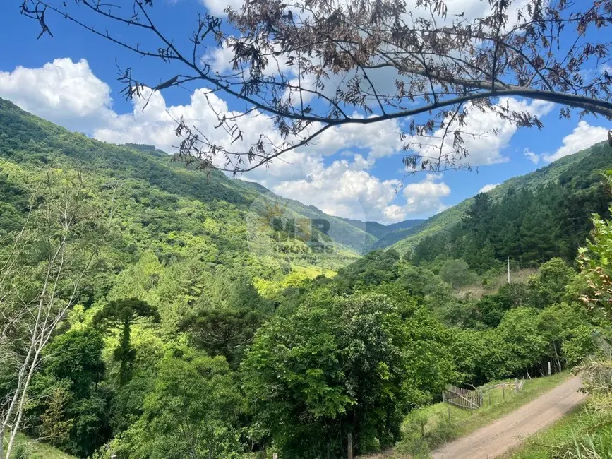 Foto 6 de Sítio / Rancho com 2 quartos à venda, 90m2 em Nova Petropolis - RS