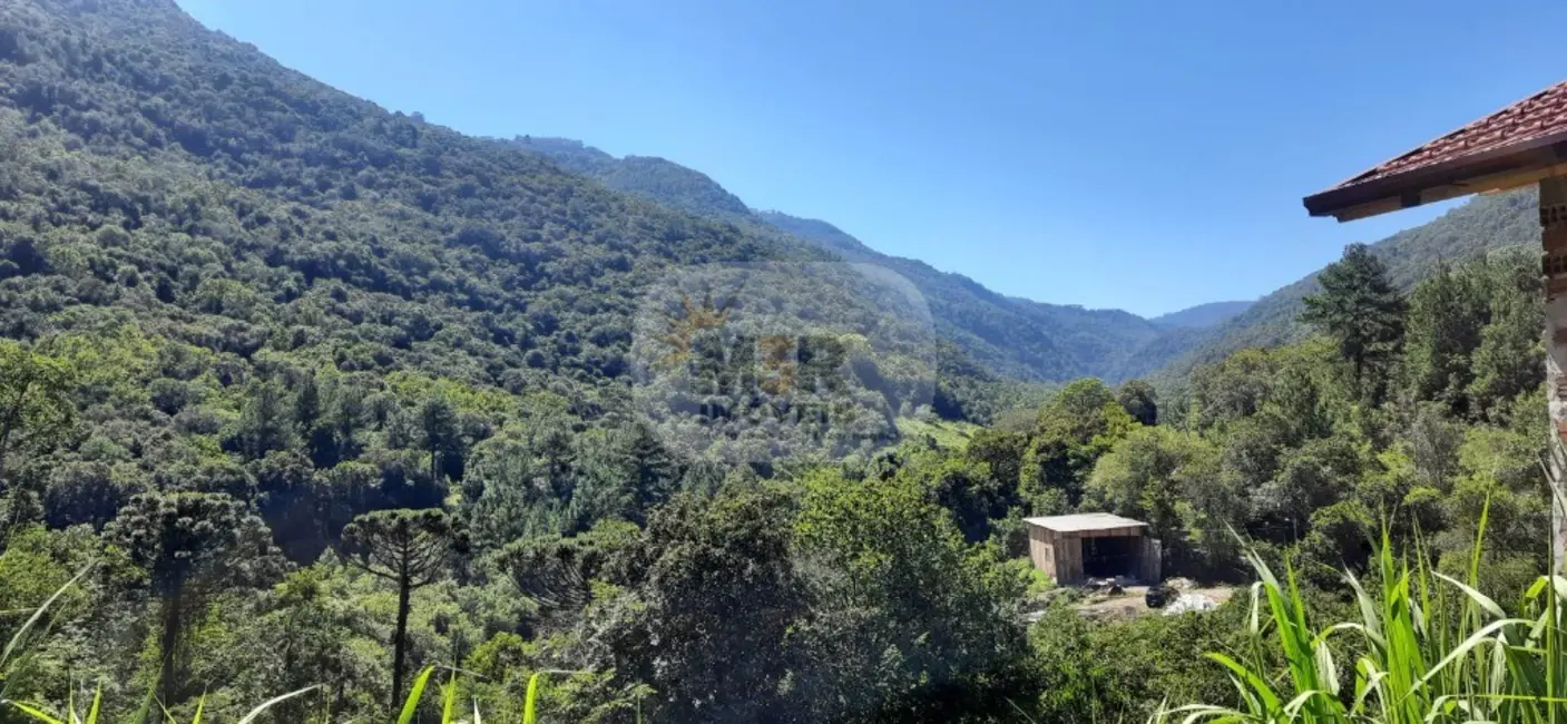 Sítio / Rancho com 2 quartos à venda, 110m2 em Nova Petropolis - RS - imagem 3 Foto 3 de Sítio / Rancho com 2 quartos à venda, 110m2 em Nova Petropolis - RS