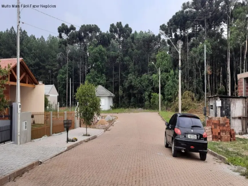 Foto 2 de Casa com 3 quartos à venda, 122m2 em Nova Petropolis - RS