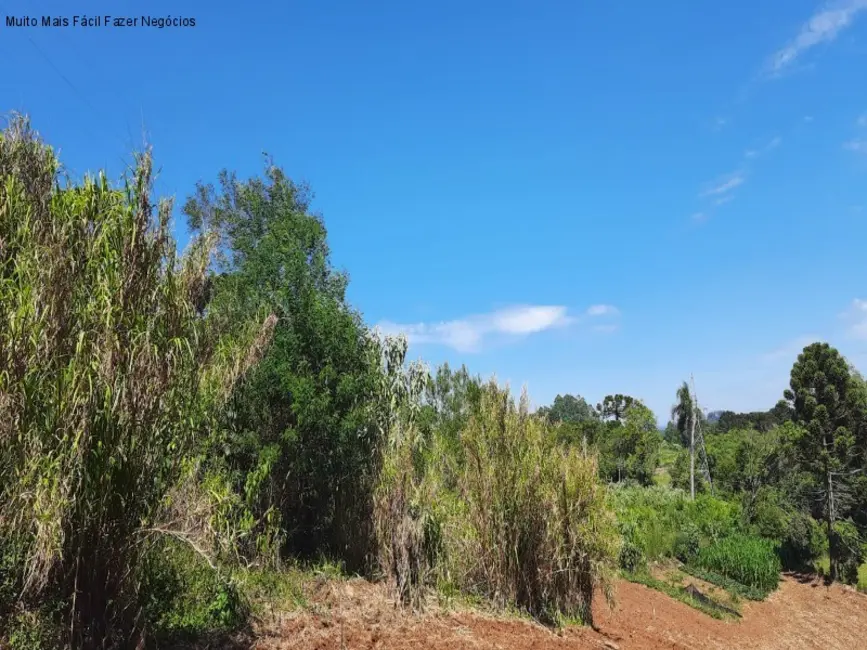 Terreno / Lote à venda, 14m2 em Nova Petropolis - RS - imagem 6 Foto 6 de Terreno / Lote à venda, 14m2 em Nova Petropolis - RS