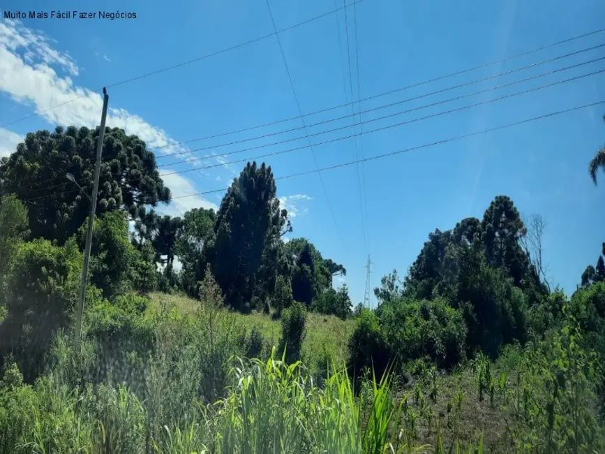 Terreno / Lote à venda, 14m2 em Nova Petropolis - RS - imagem 5 Foto 5 de Terreno / Lote à venda, 14m2 em Nova Petropolis - RS