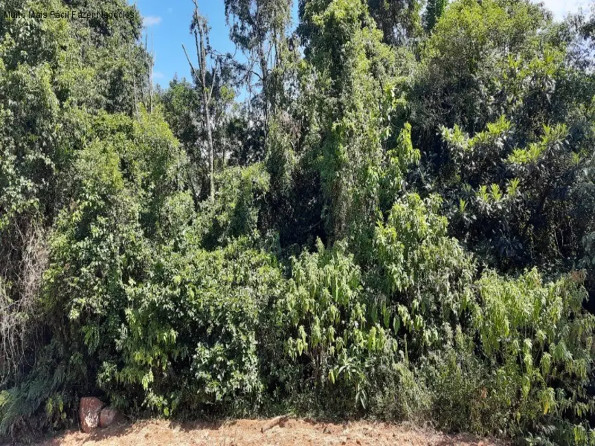 Terreno / Lote à venda, 14m2 em Nova Petropolis - RS - imagem 4 Foto 4 de Terreno / Lote à venda, 14m2 em Nova Petropolis - RS