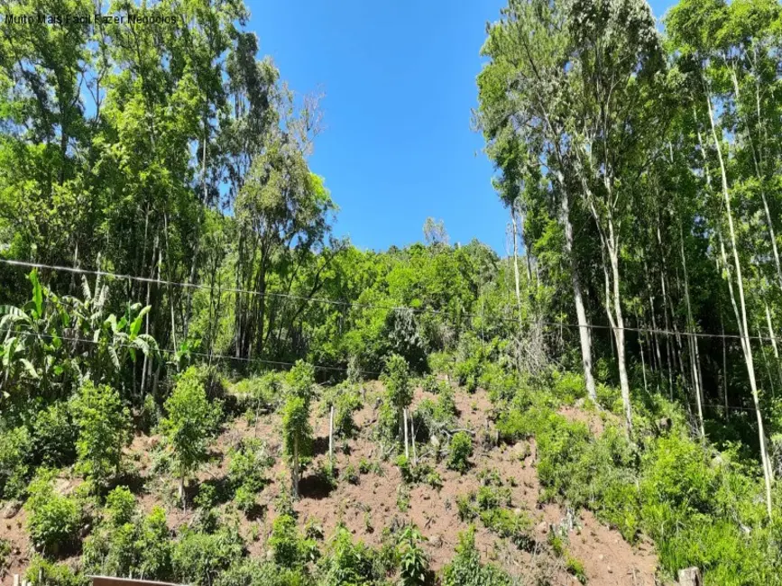Foto 4 de Sítio / Rancho com 2 quartos à venda, 50m2 em Nova Petropolis - RS