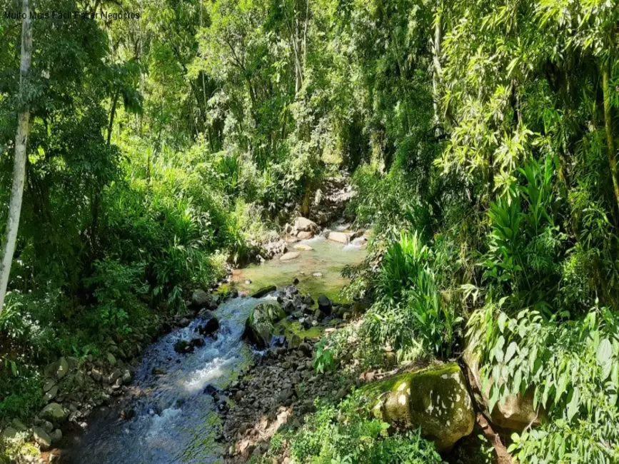 Foto 6 de Sítio / Rancho com 2 quartos à venda, 50m2 em Nova Petropolis - RS