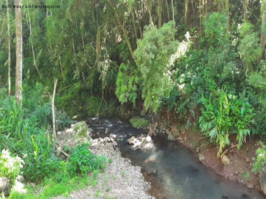 Foto 5 de Sítio / Rancho com 2 quartos à venda, 50m2 em Nova Petropolis - RS