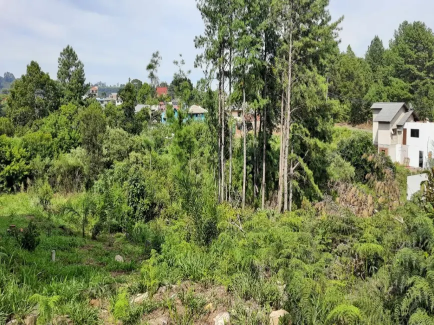 Foto 2 de Terreno / Lote à venda, 405m2 em Nova Petropolis - RS