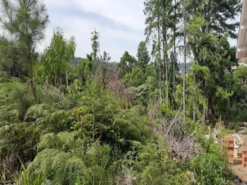 Foto 1 de Terreno / Lote à venda, 405m2 em Nova Petropolis - RS