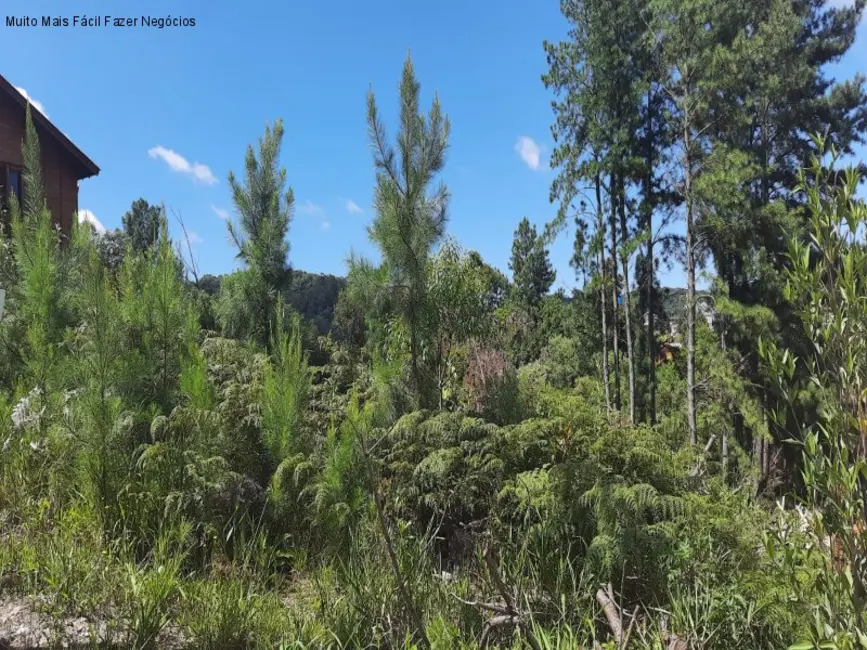 Foto 1 de Terreno / Lote à venda, 405m2 em Nova Petropolis - RS
