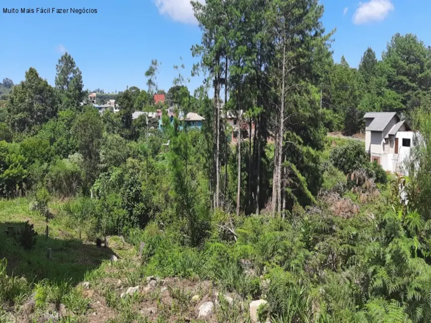 Foto 2 de Terreno / Lote à venda, 405m2 em Nova Petropolis - RS