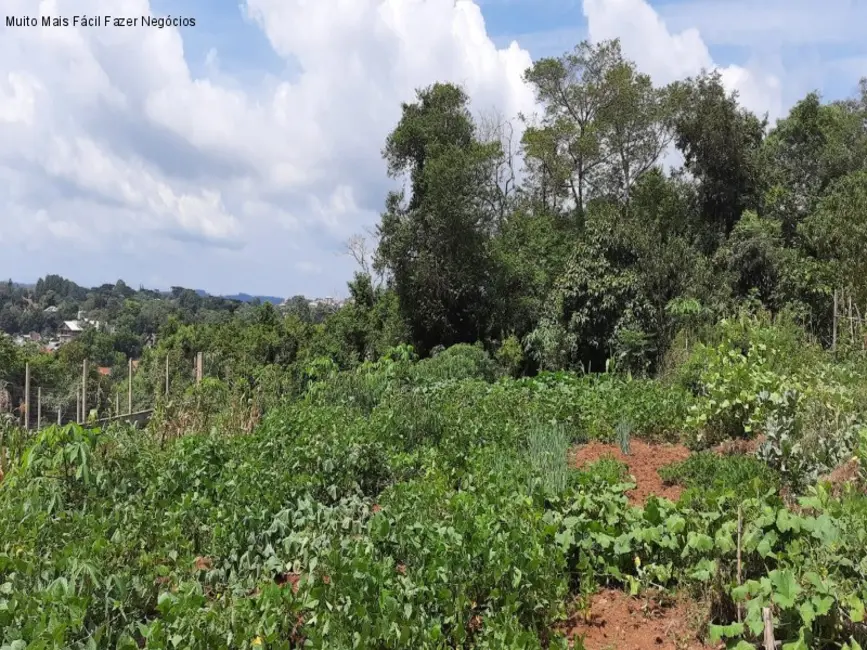 Terreno / Lote à venda, 360m2 em Nova Petropolis - RS - imagem 2 Foto 2 de Terreno / Lote à venda, 360m2 em Nova Petropolis - RS
