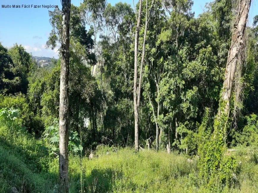 Foto 2 de Terreno / Lote à venda, 360m2 em Nova Petropolis - RS