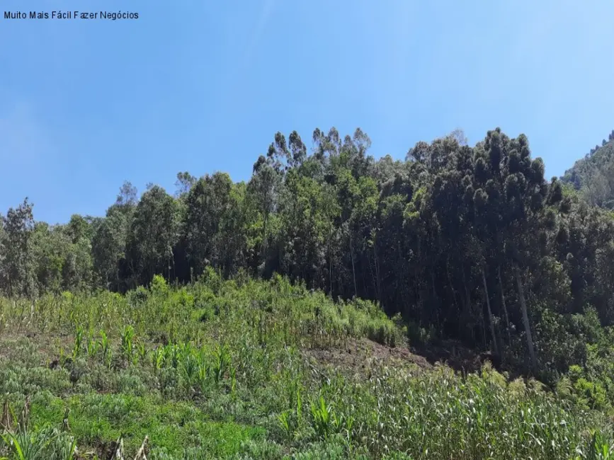Terreno / Lote à venda em Nova Petropolis - RS - imagem 4 Foto 4 de Terreno / Lote à venda em Nova Petropolis - RS
