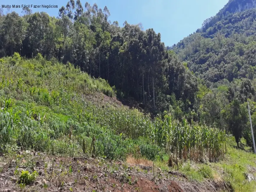 Terreno / Lote à venda em Nova Petropolis - RS - imagem 6 Foto 6 de Terreno / Lote à venda em Nova Petropolis - RS