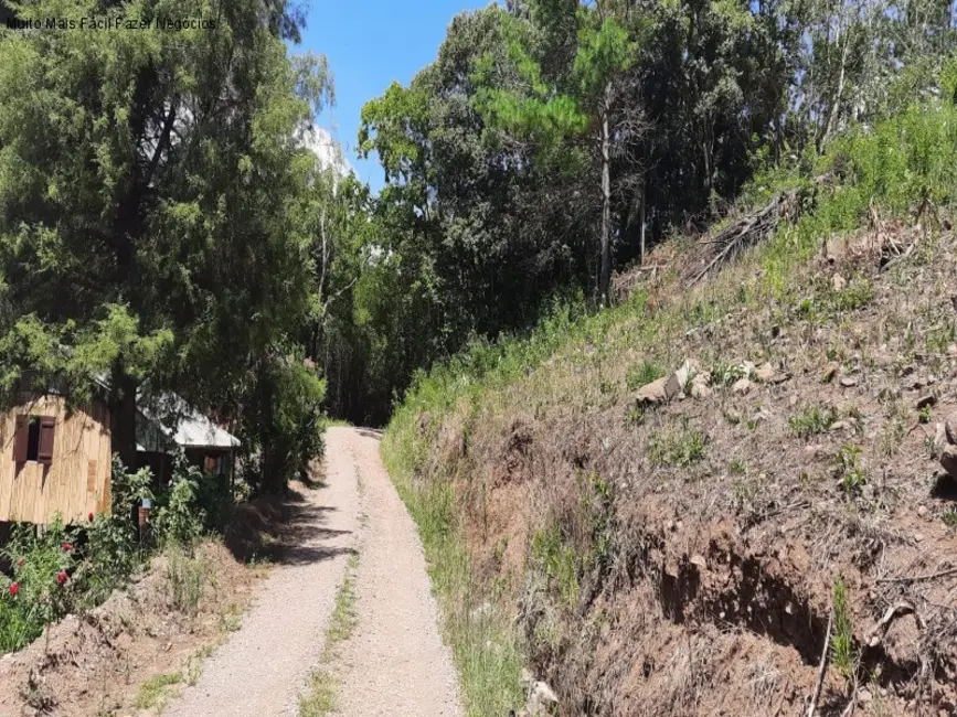 Terreno / Lote à venda em Nova Petropolis - RS - imagem 8 Foto 8 de Terreno / Lote à venda em Nova Petropolis - RS