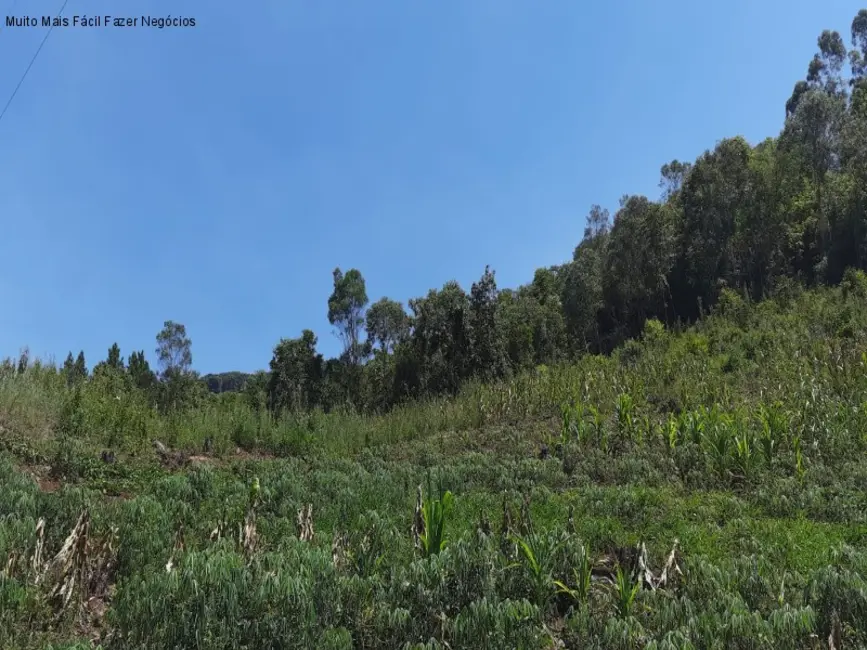 Terreno / Lote à venda em Nova Petropolis - RS - imagem 3 Foto 3 de Terreno / Lote à venda em Nova Petropolis - RS