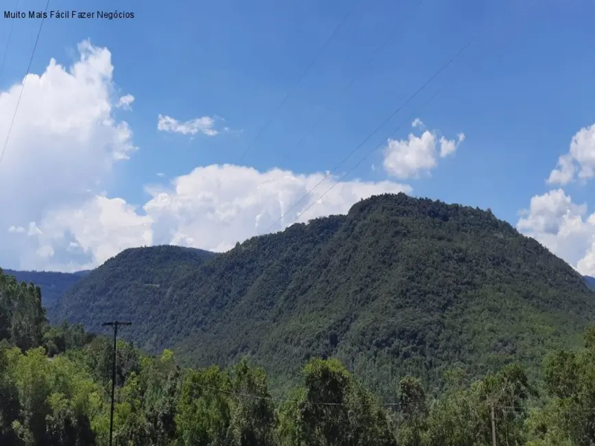 Foto 1 de Terreno / Lote à venda em Nova Petropolis - RS