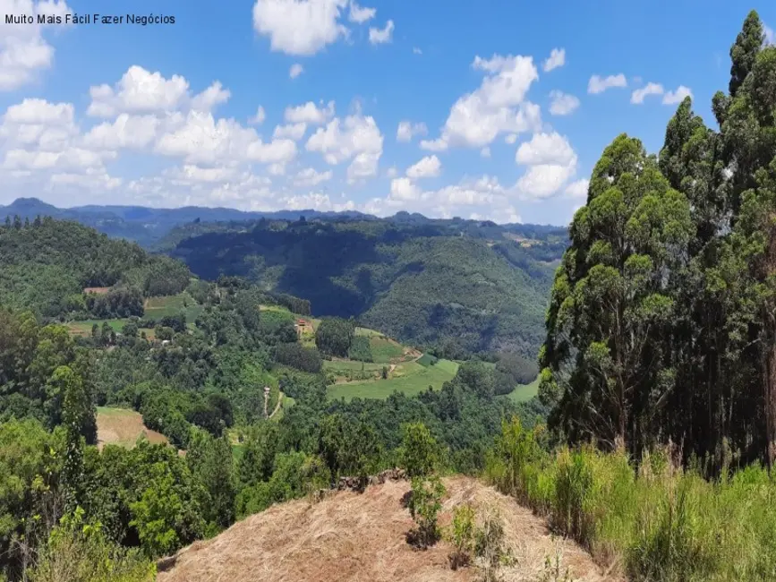 Casa com 2 quartos à venda, 70m2 em Nova Petropolis - RS - imagem 8 Foto 8 de Casa com 2 quartos à venda, 70m2 em Nova Petropolis - RS