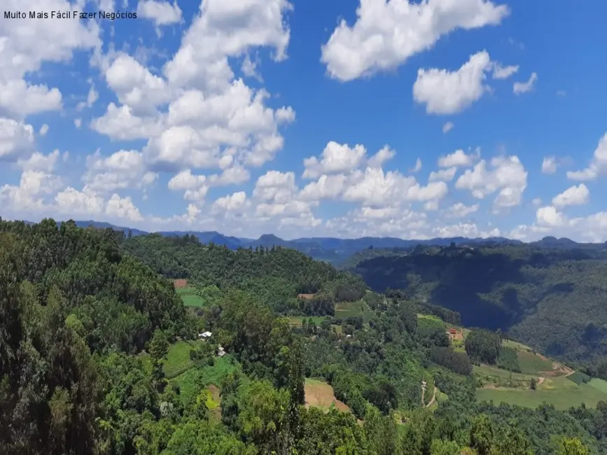 Casa com 2 quartos à venda, 70m2 em Nova Petropolis - RS - imagem 7 Foto 7 de Casa com 2 quartos à venda, 70m2 em Nova Petropolis - RS