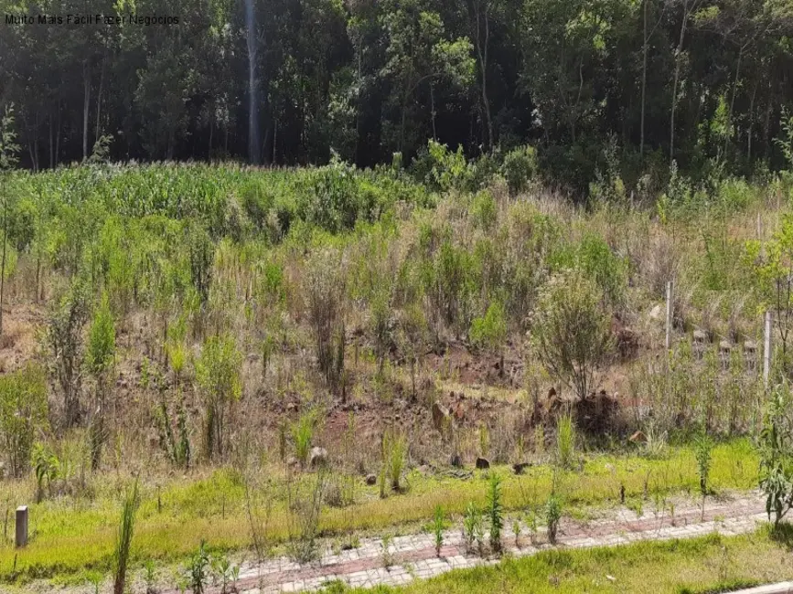 Foto 1 de Terreno / Lote à venda, 378m2 em Nova Petropolis - RS