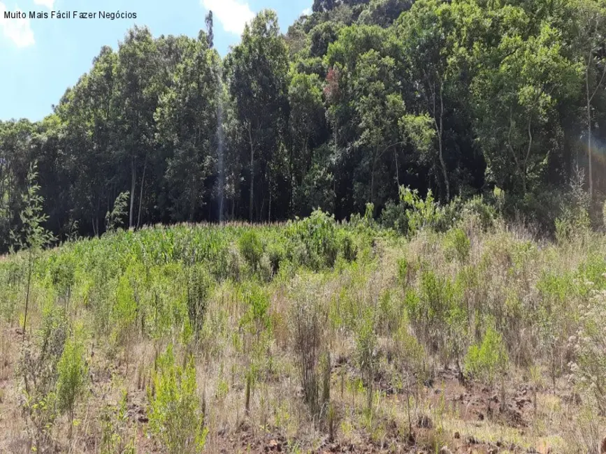 Foto 2 de Terreno / Lote à venda, 378m2 em Nova Petropolis - RS