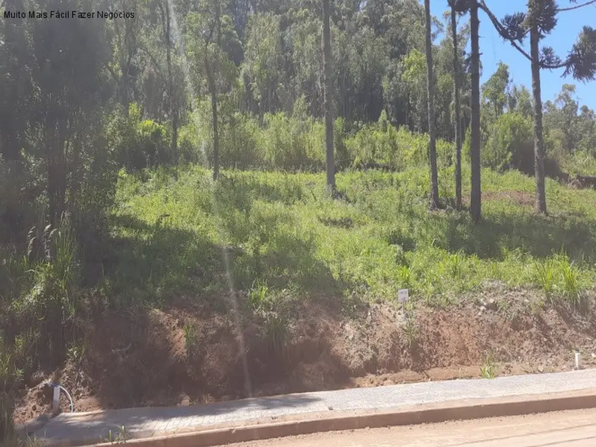 Terreno / Lote à venda, 398m2 em Nova Petropolis - RS - imagem 3 Foto 3 de Terreno / Lote à venda, 398m2 em Nova Petropolis - RS