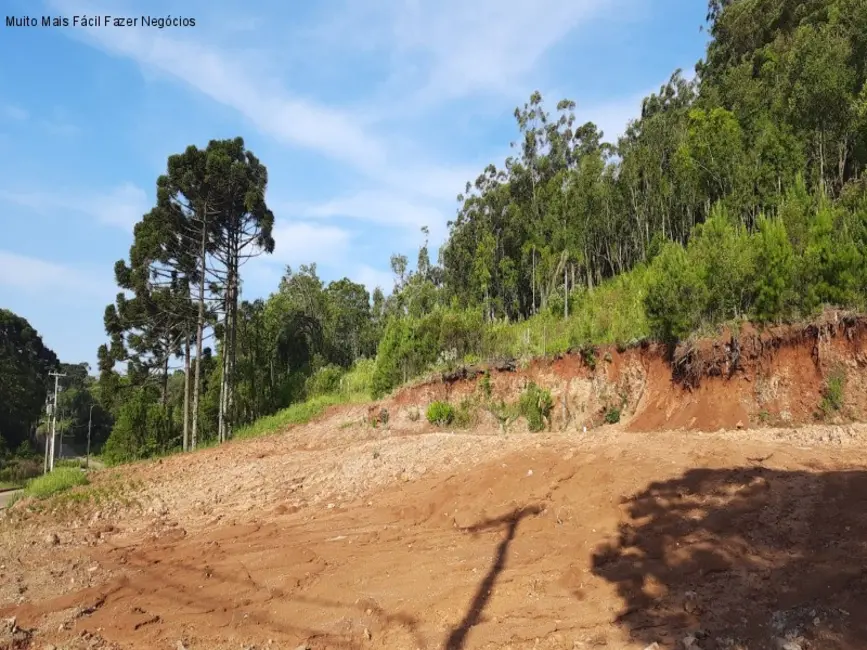 Foto 2 de Terreno / Lote à venda, 398m2 em Nova Petropolis - RS