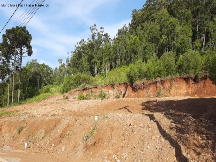 Foto 1 de Terreno / Lote à venda, 398m2 em Nova Petropolis - RS