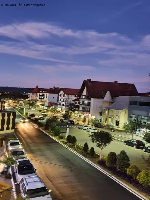 Foto 7 de Sala Comercial à venda, 95m2 em Centro, Nova Petropolis - RS