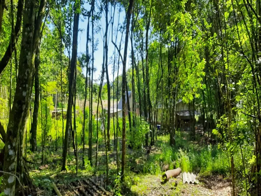 Terreno / Lote à venda, 150m2 em Nova Petropolis - RS - imagem 4 Foto 4 de Terreno / Lote à venda, 150m2 em Nova Petropolis - RS