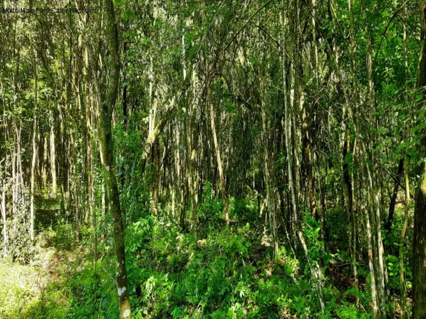 Terreno / Lote à venda, 150m2 em Nova Petropolis - RS - imagem 9 Foto 9 de Terreno / Lote à venda, 150m2 em Nova Petropolis - RS