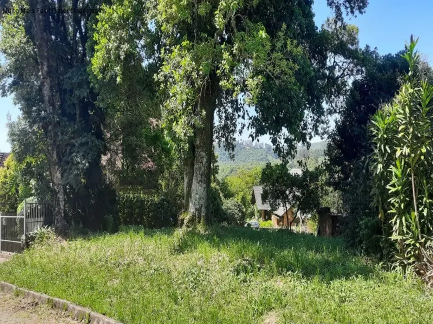 Foto 1 de Terreno / Lote à venda, 585m2 em Nova Petropolis - RS