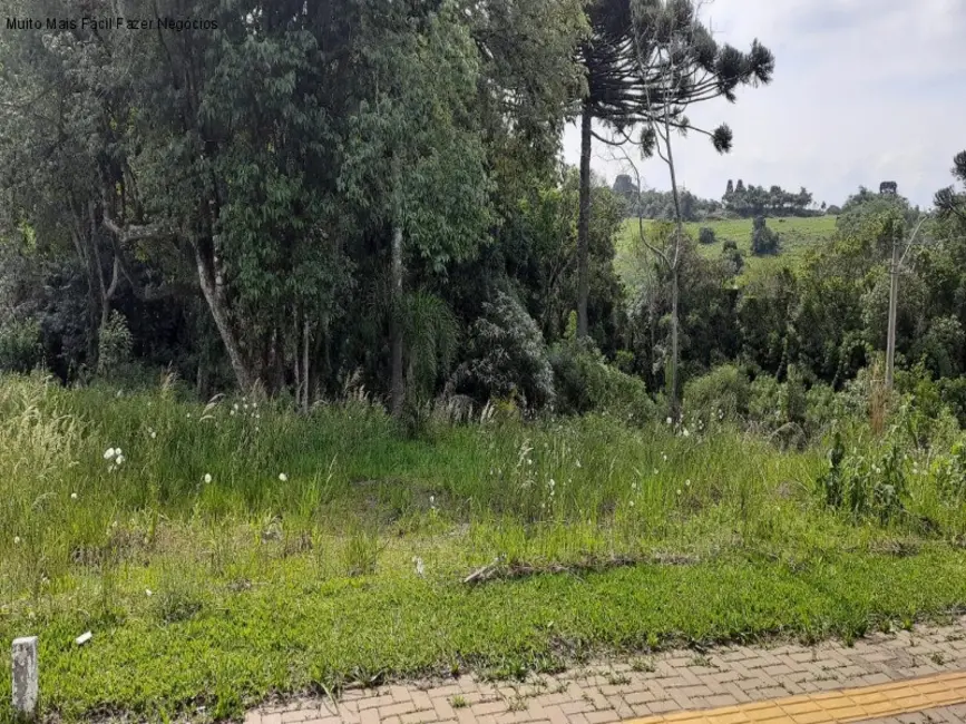 Terreno / Lote à venda, 360m2 em Nova Petropolis - RS - imagem 2 Foto 2 de Terreno / Lote à venda, 360m2 em Nova Petropolis - RS