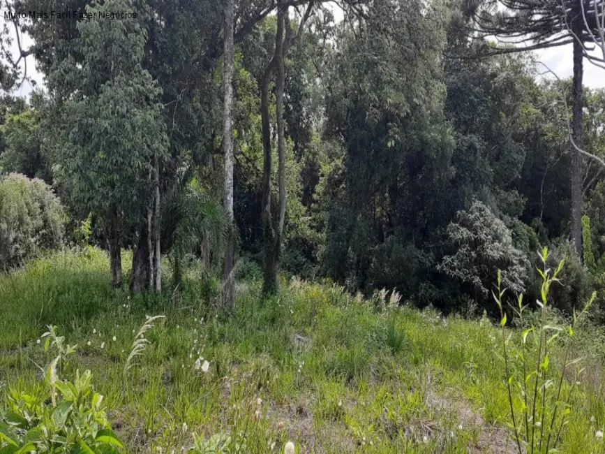 Terreno / Lote à venda, 360m2 em Nova Petropolis - RS - imagem 1 Foto 1 de Terreno / Lote à venda, 360m2 em Nova Petropolis - RS