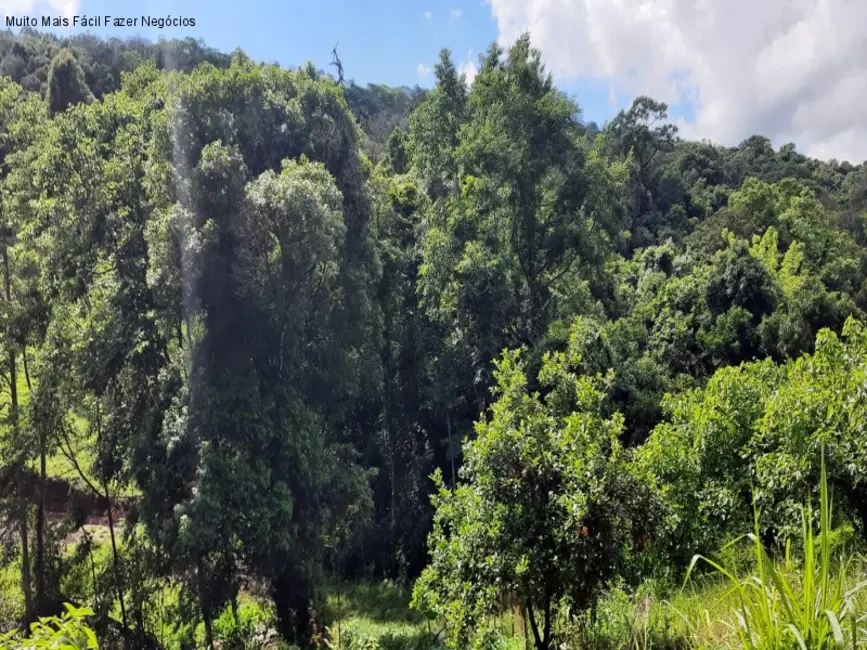 Foto 1 de Terreno / Lote à venda em Nova Petropolis - RS