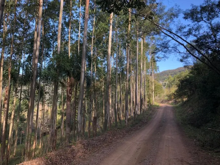 Terreno / Lote à venda em Nova Petropolis - RS - imagem 2 Foto 2 de Terreno / Lote à venda em Nova Petropolis - RS