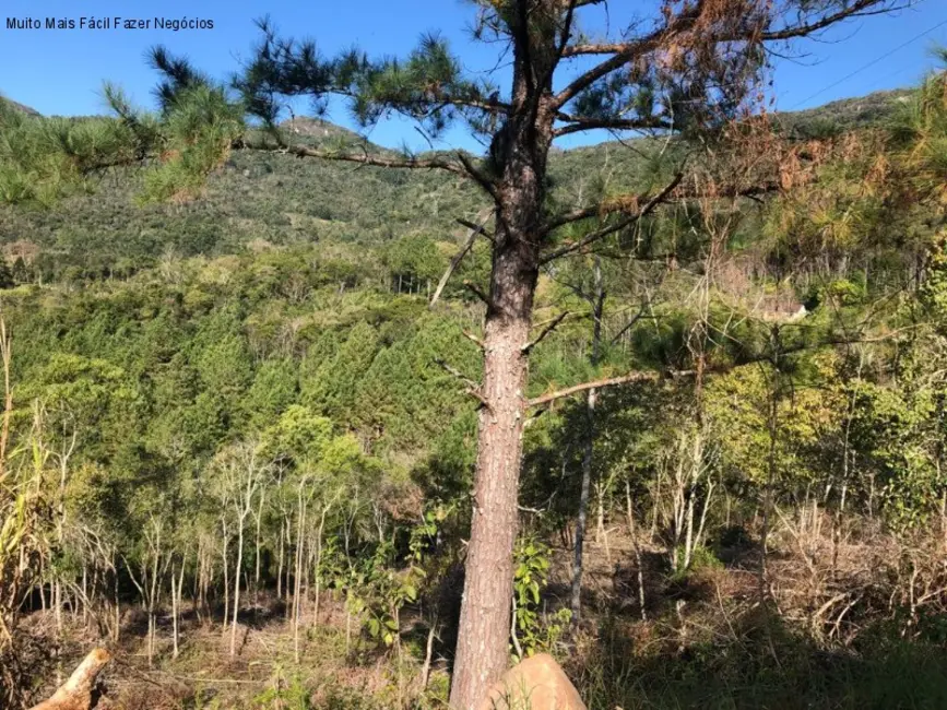 Terreno / Lote à venda em Nova Petropolis - RS - imagem 4 Foto 4 de Terreno / Lote à venda em Nova Petropolis - RS