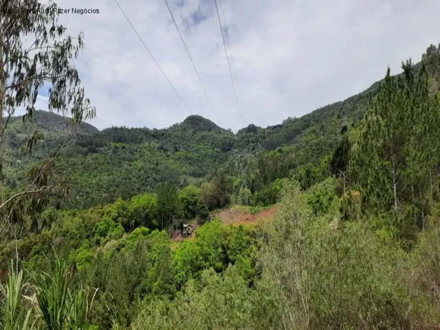 Terreno / Lote à venda em Nova Petropolis - RS - imagem 5 Foto 5 de Terreno / Lote à venda em Nova Petropolis - RS