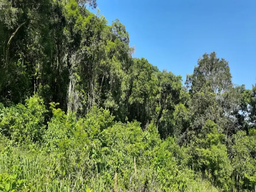 Foto 9 de Sítio / Rancho com 2 quartos à venda, 70m2 em Nova Petropolis - RS