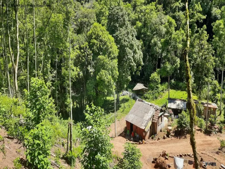 Foto 3 de Sítio / Rancho com 2 quartos à venda, 70m2 em Nova Petropolis - RS