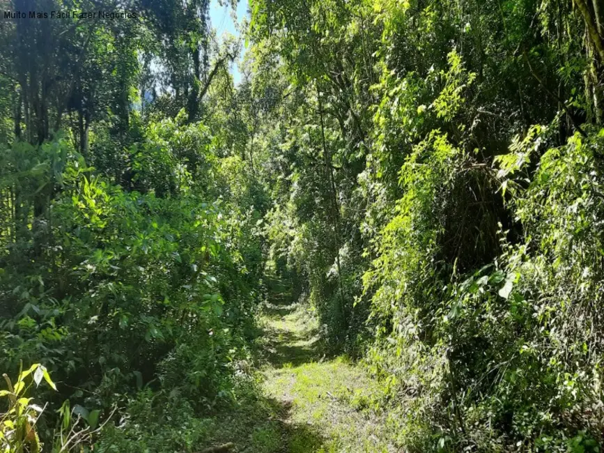 Foto 8 de Sítio / Rancho com 2 quartos à venda, 70m2 em Nova Petropolis - RS