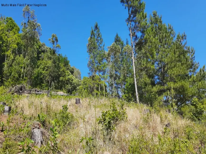 Foto 4 de Sítio / Rancho com 2 quartos à venda, 70m2 em Nova Petropolis - RS