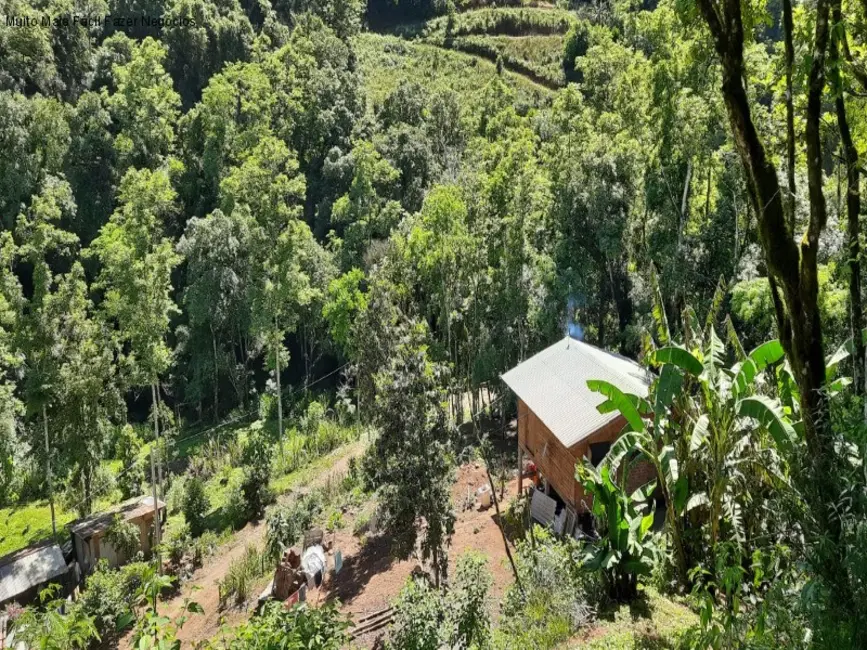 Foto 2 de Sítio / Rancho com 2 quartos à venda, 70m2 em Nova Petropolis - RS