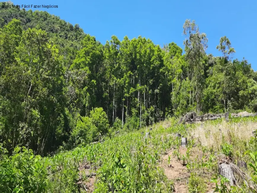 Foto 6 de Sítio / Rancho com 2 quartos à venda, 70m2 em Nova Petropolis - RS